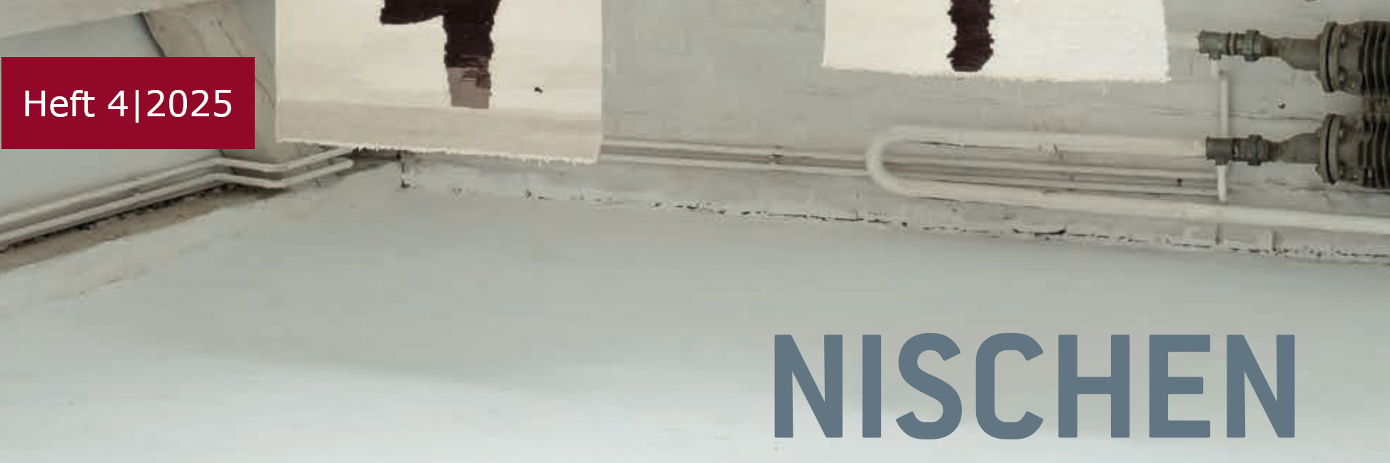 Banner der aktuellen INDES-Ausgabe ‚Nischen‘